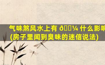 气味煞风水上有 🌼 什么影响(房子里闻到臭味的迷信说法)